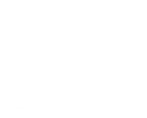 Man Working Icon